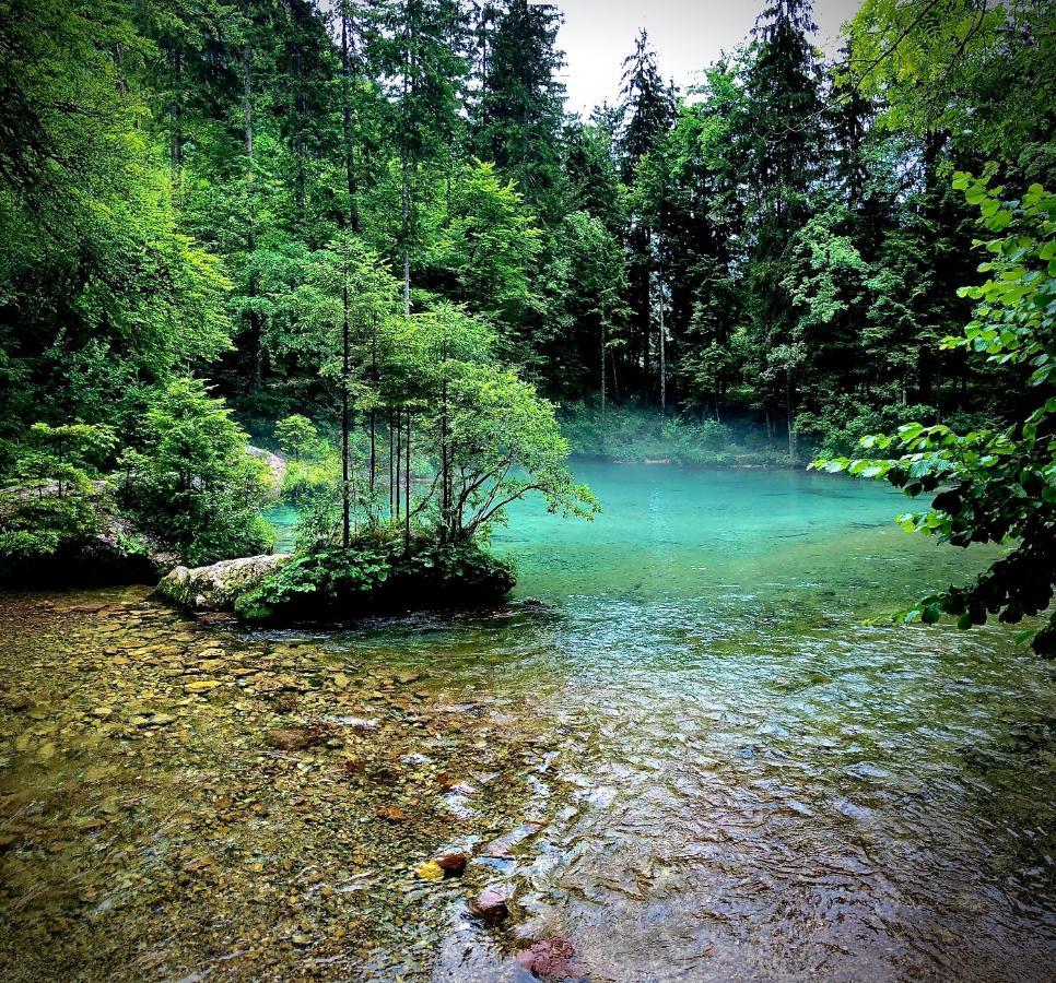 Вілла Skalca Камнишка Бистриця Екстер'єр фото